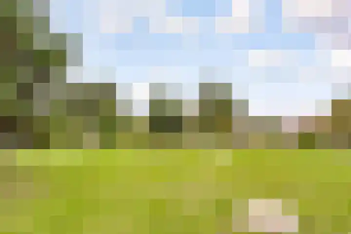 Kornwierde 136 Almere thumbnail 39