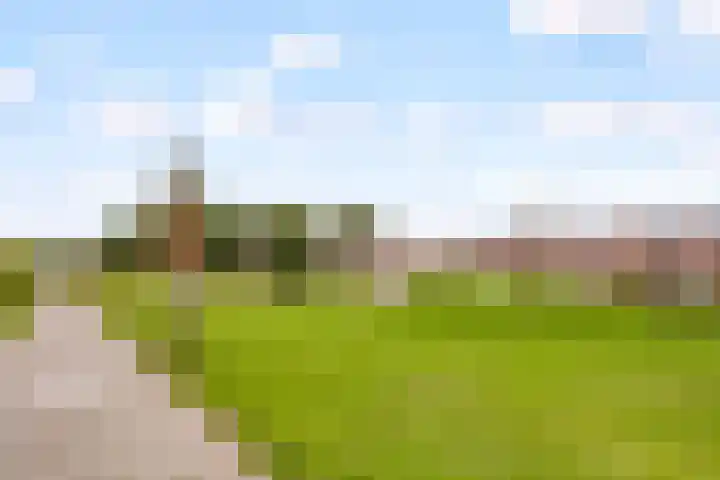 Kornwierde 136 Almere thumbnail 41