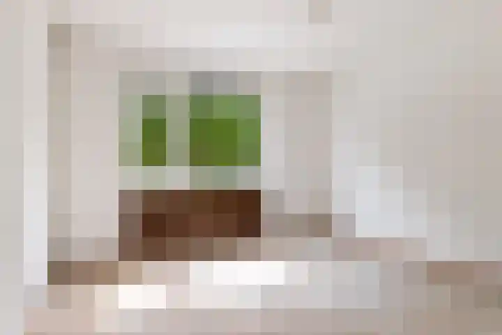 Kornwierde 204 Almere thumbnail 20