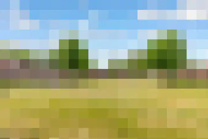 Kornwierde 204 Almere thumbnail 32