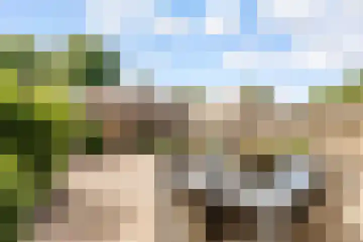 Kornwierde 57 Almere thumbnail 35