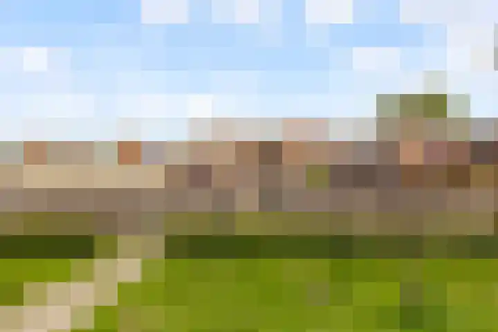 Kornwierde 57 Almere thumbnail 36