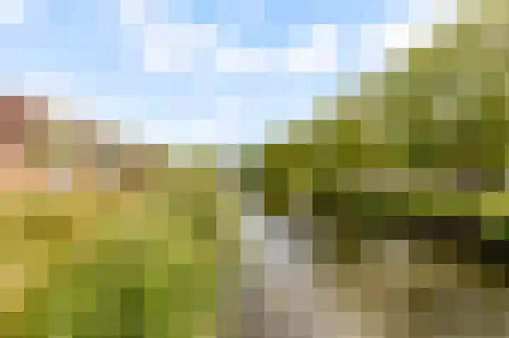 Kornwierde 57 Almere thumbnail 37