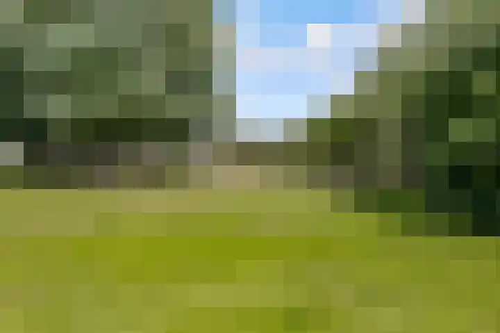 Kornwierde 57 Almere thumbnail 38
