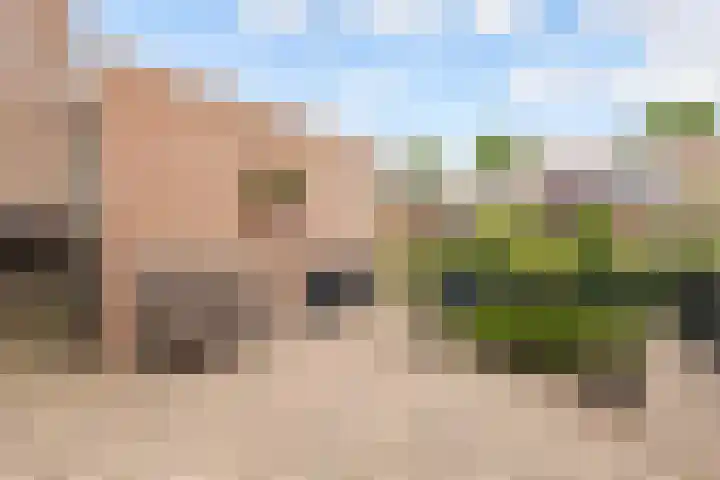 Kornwierde 57 Almere thumbnail 8