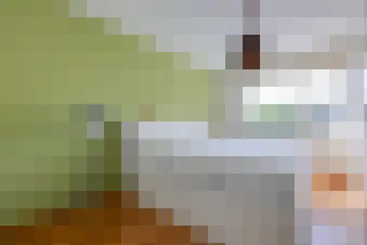 Kornwierde 85 Almere thumbnail 22