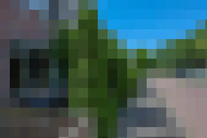 Kornwierde 85 Almere thumbnail 47