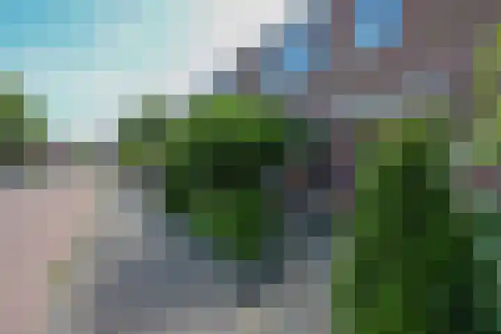 Kornwierde 85 Almere thumbnail 48