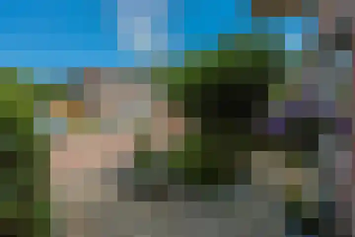 Kornwierde 85 Almere thumbnail 49