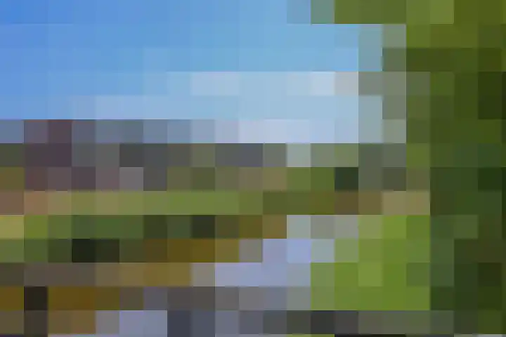 Kornwierde 85 Almere thumbnail 51