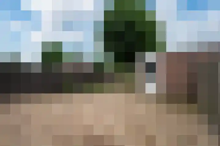 Kornwierde 98 Almere thumbnail 13