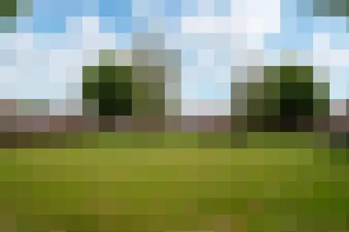 Kornwierde 98 Almere thumbnail 29
