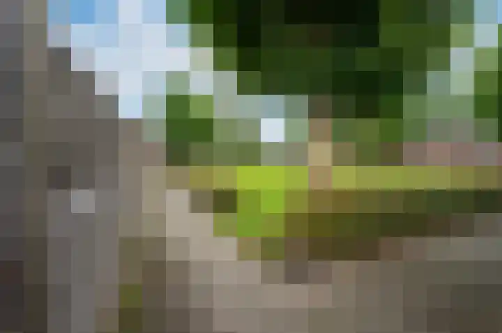 Kornwierde 98 Almere thumbnail 30