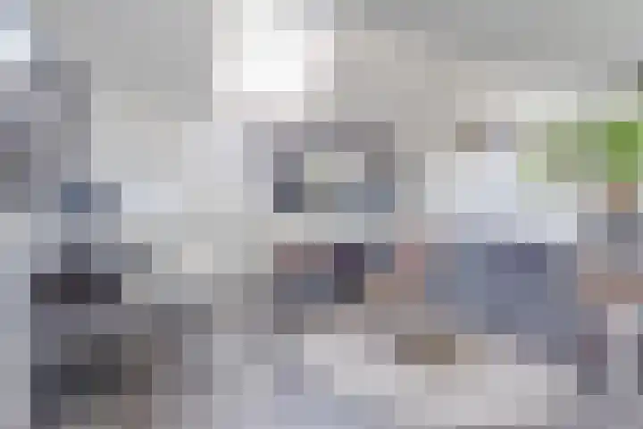 Korpersteeg 15 Ermelo thumbnail 28