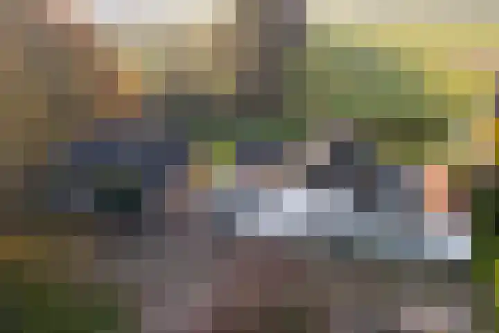Korpersteeg 15 Ermelo thumbnail 4