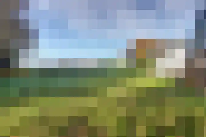 Korpersteeg 15 Ermelo thumbnail 46