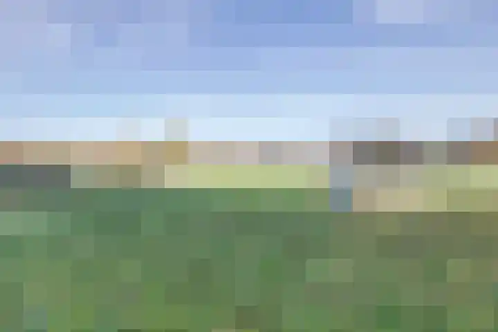 Korpersteeg 15 Ermelo thumbnail 50