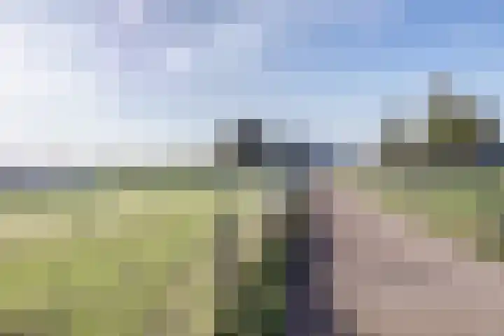 Korpersteeg 15 Ermelo thumbnail 52