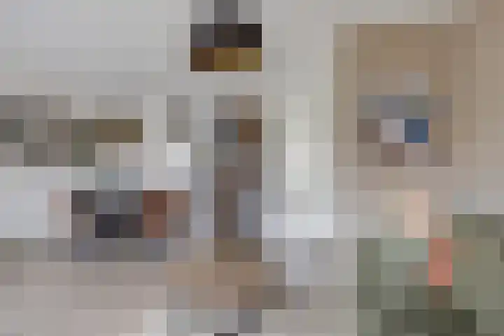 Korporaal 13 Steenwijk thumbnail 16