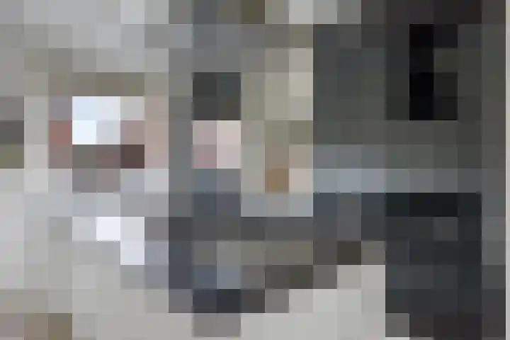 Korporaal 13 Steenwijk thumbnail 19