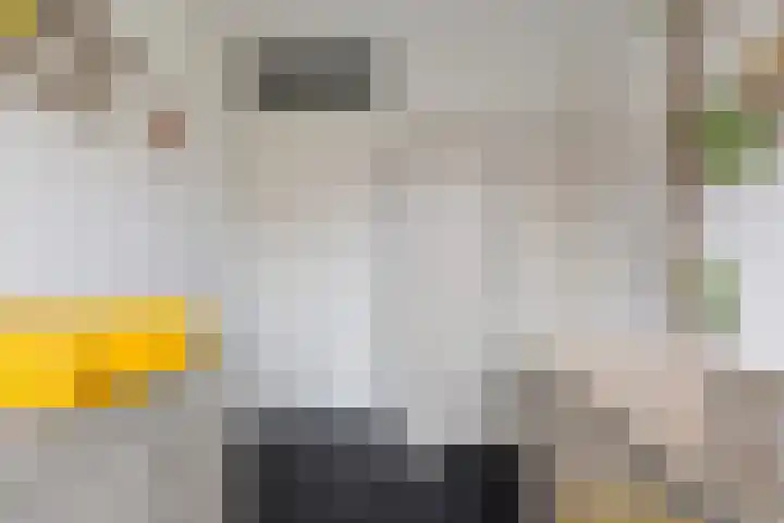 Korporaal 13 Steenwijk thumbnail 33