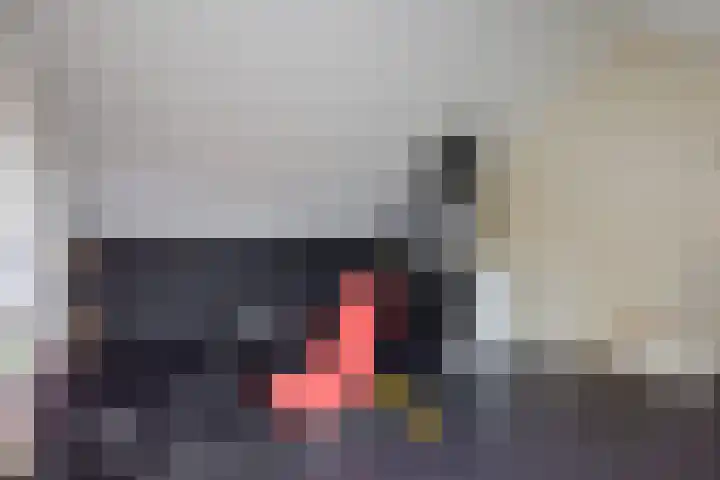Korporaal 13 Steenwijk thumbnail 35