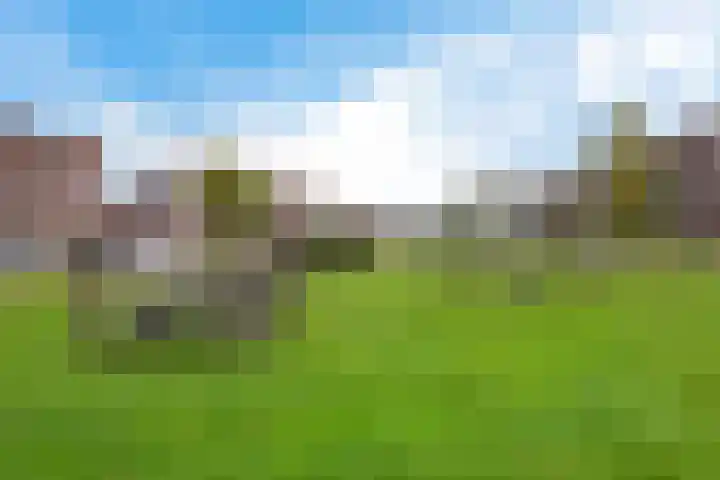 Korporaal 13 Steenwijk thumbnail 39