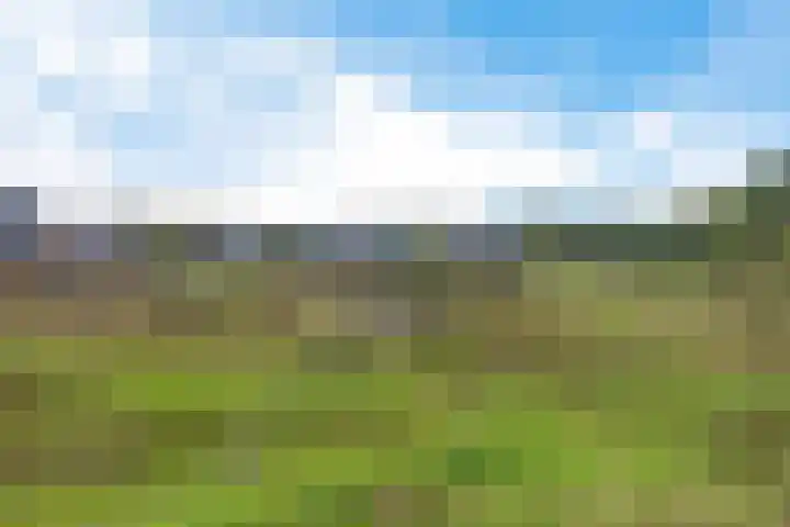 Korporaal 13 Steenwijk thumbnail 40