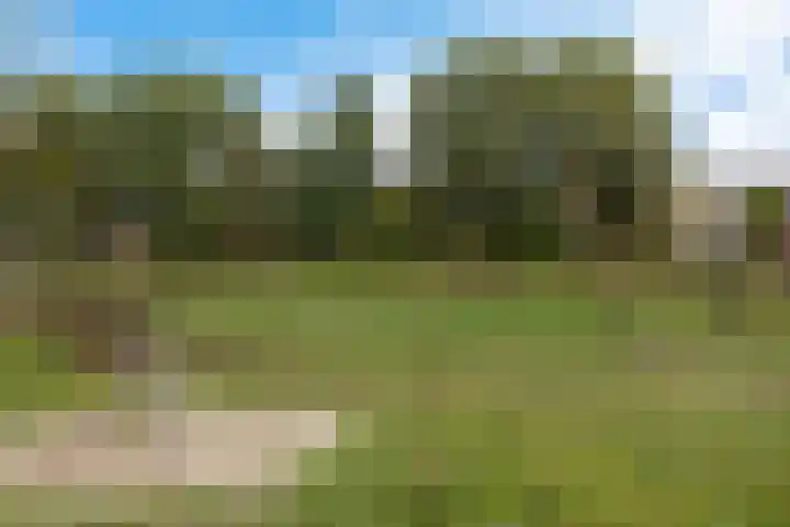 Korporaal 13 Steenwijk thumbnail 41
