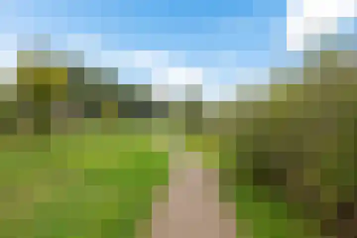 Korporaal 13 Steenwijk thumbnail 6