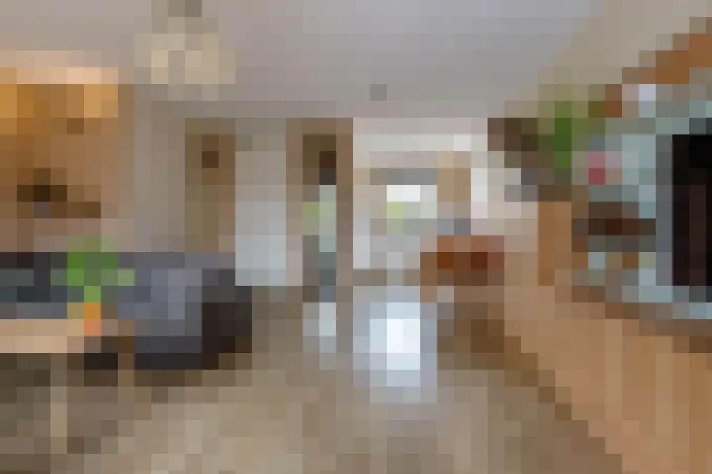 Korporaal 17 Steenwijk thumbnail 10