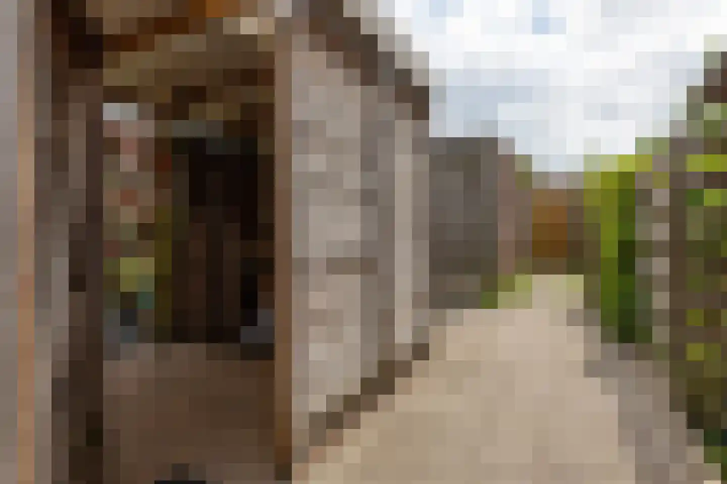 Korporaal 17 Steenwijk thumbnail 47