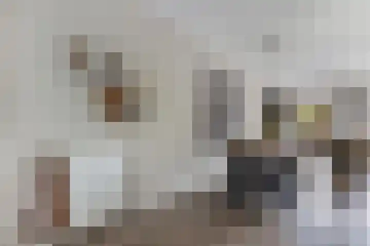 Korporaal 9 Steenwijk thumbnail 13