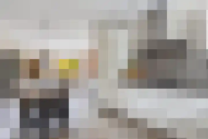 Korporaal 9 Steenwijk thumbnail 14