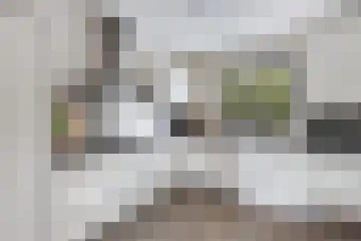 Korporaal 9 Steenwijk thumbnail 15
