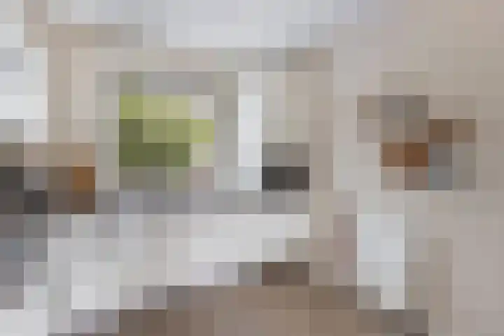 Korporaal 9 Steenwijk thumbnail 16