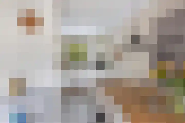 Korporaal 9 Steenwijk thumbnail 17