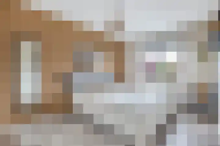 Korporaal 9 Steenwijk thumbnail 19