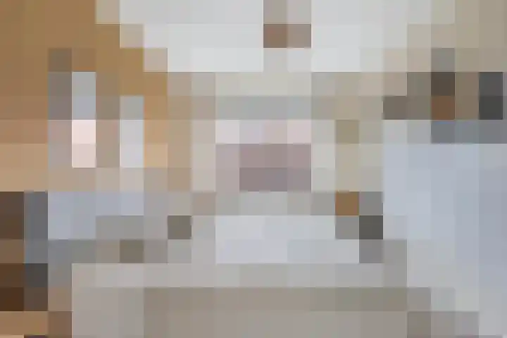 Korporaal 9 Steenwijk thumbnail 20