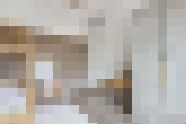 Korporaal 9 Steenwijk thumbnail 26
