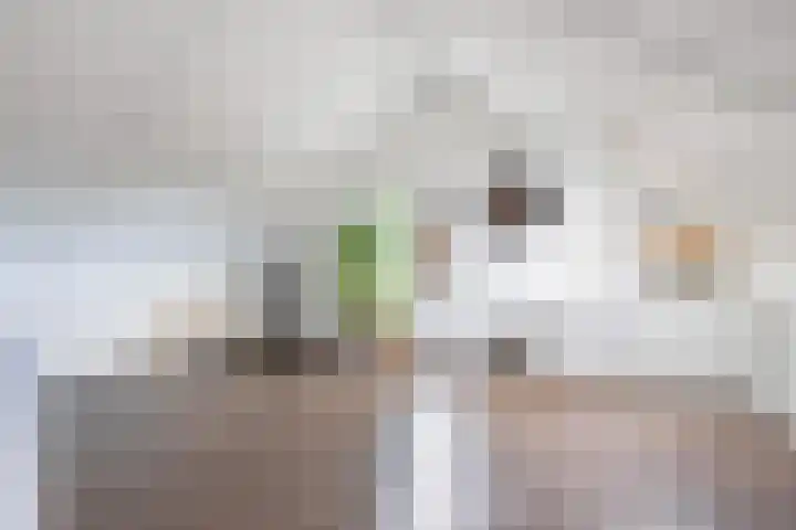 Korporaal 9 Steenwijk thumbnail 30