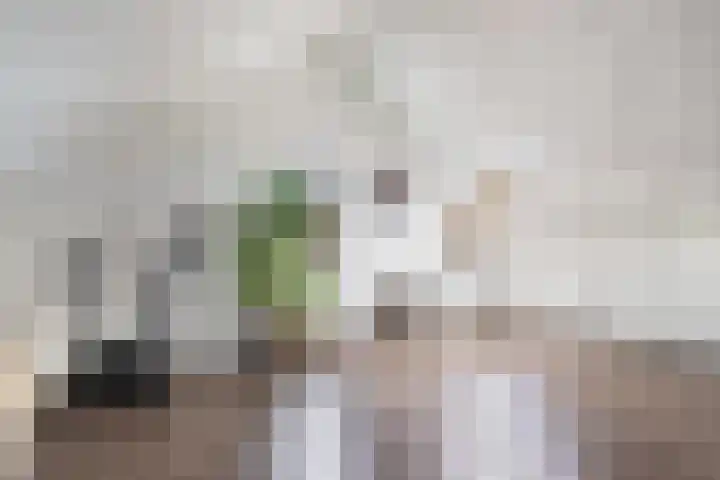 Korporaal 9 Steenwijk thumbnail 31
