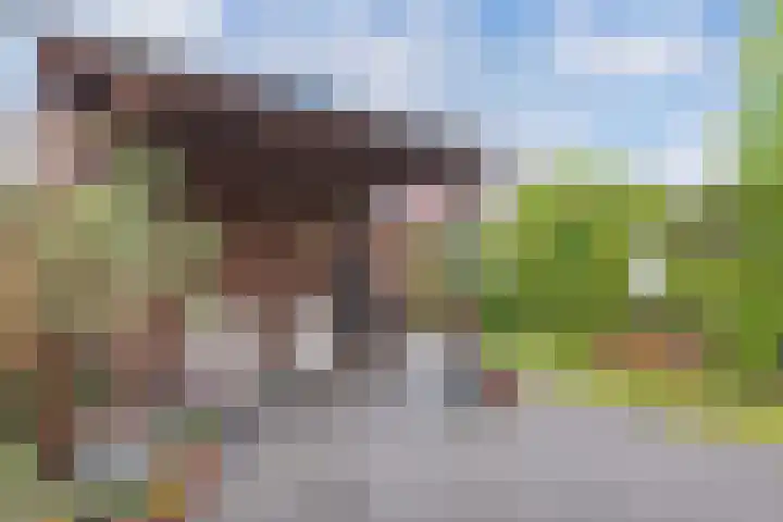 Korporaal 9 Steenwijk thumbnail 36