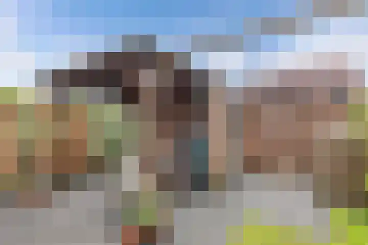 Korporaal 9 Steenwijk thumbnail 37