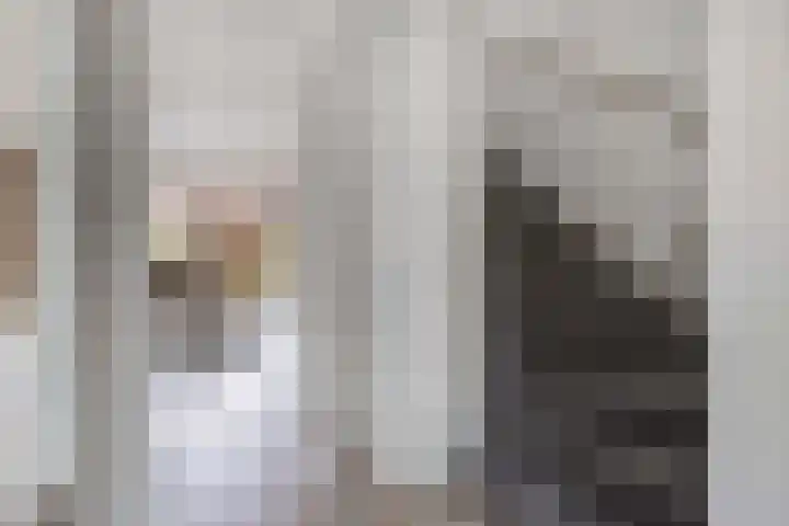 Korporaal 9 Steenwijk thumbnail 5