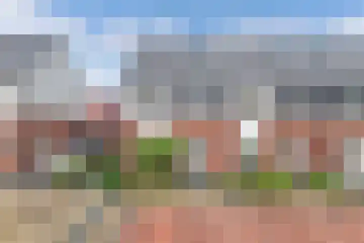 Korporaal 9 Steenwijk thumbnail 50