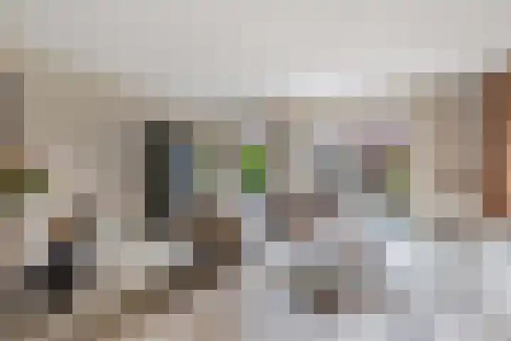 Korporaal 9 Steenwijk thumbnail 6