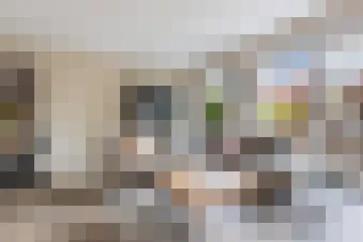 Korporaal 9 Steenwijk thumbnail 7