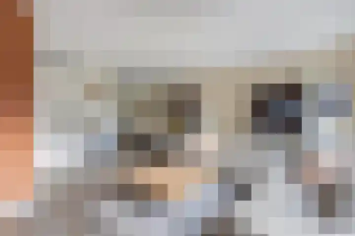 Korporaal 9 Steenwijk thumbnail 8