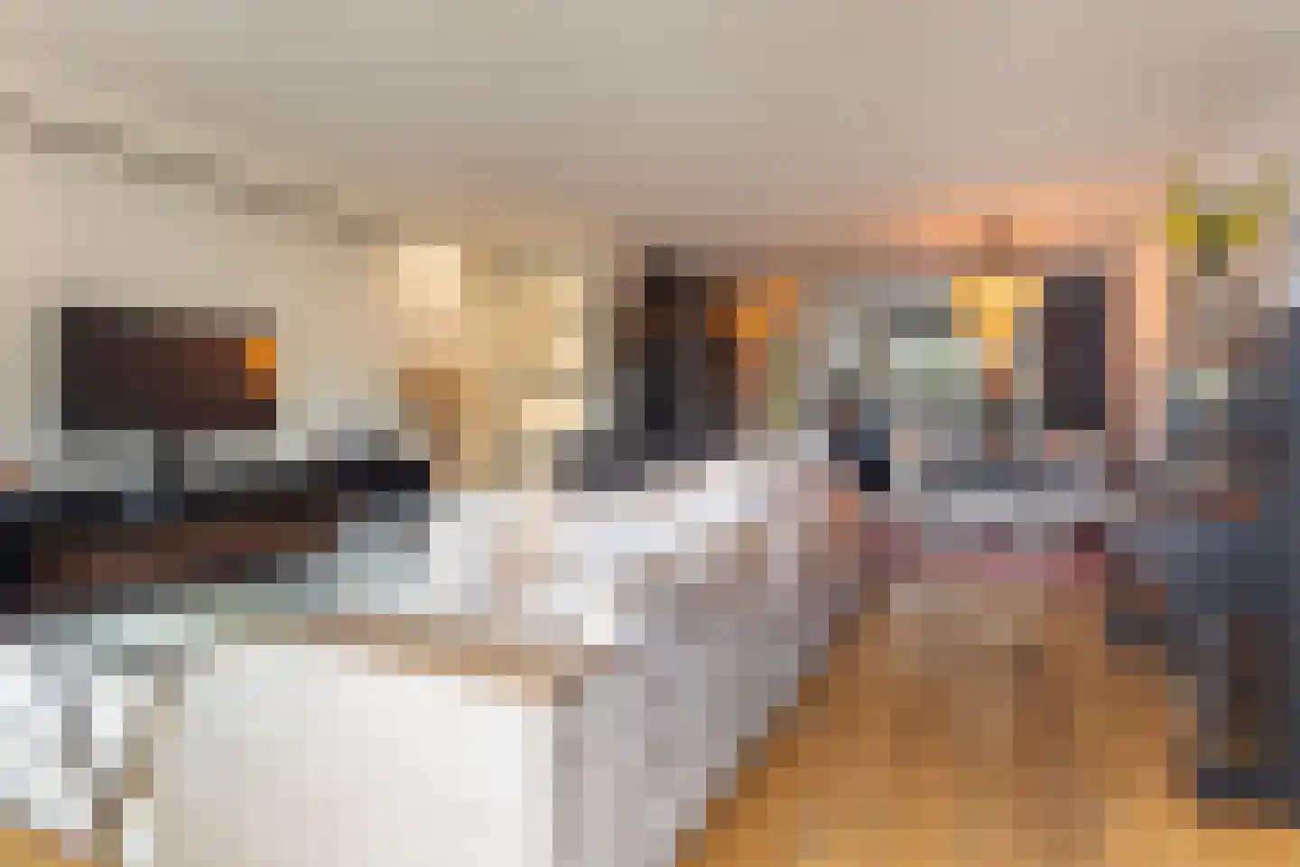 Korrelhoed 32 Apeldoorn thumbnail 11